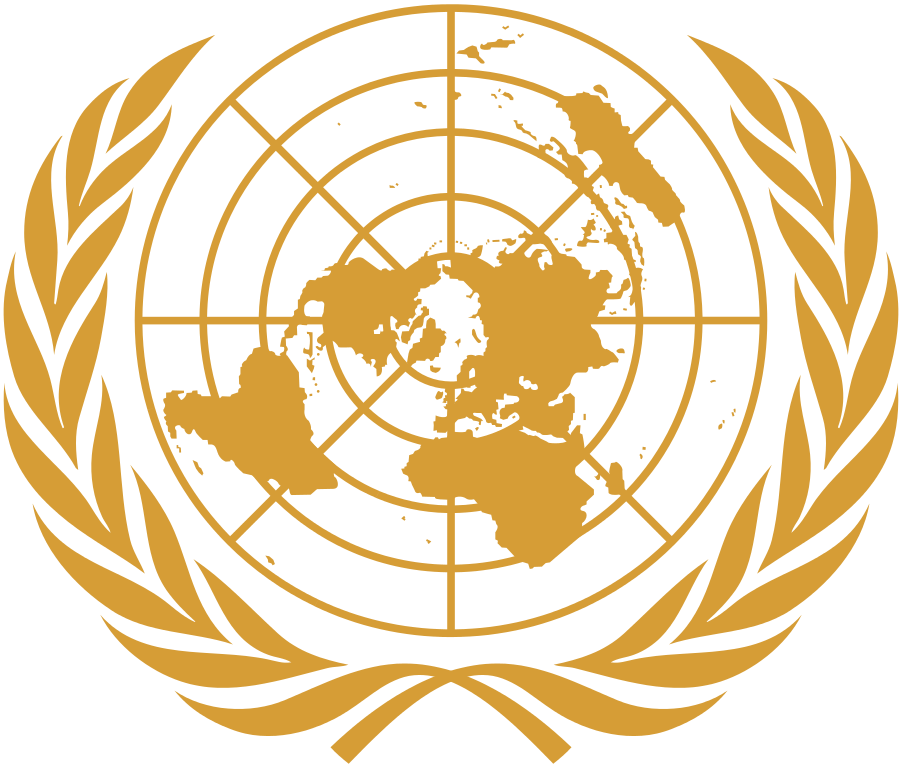 Stručná charakteristika rezolúcií BR OSN k situácii v Afganistane (1999-2004)  /Peter Bátor/